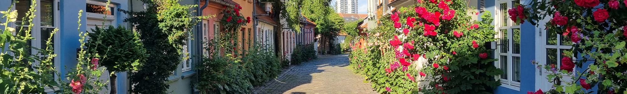 Møllestien Aarhus 2022 Uffe Gross Nielsen